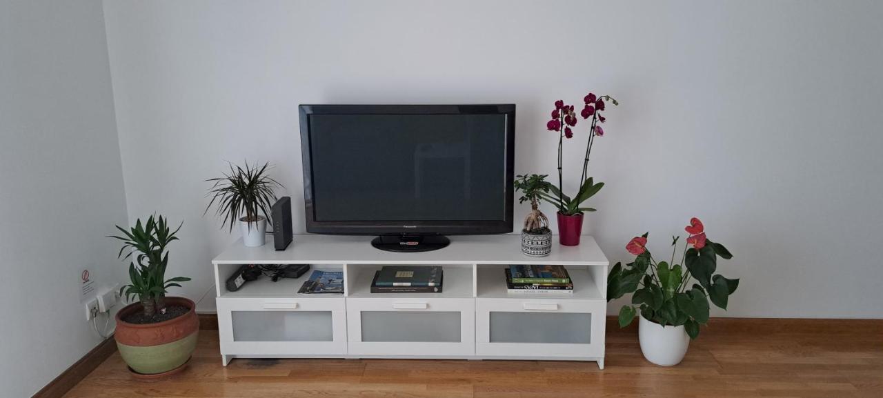 Appartement Lumineux T3 Avec Jardin Privatif A Hendaye - Parking Et Wif Gratuit エクステリア 写真