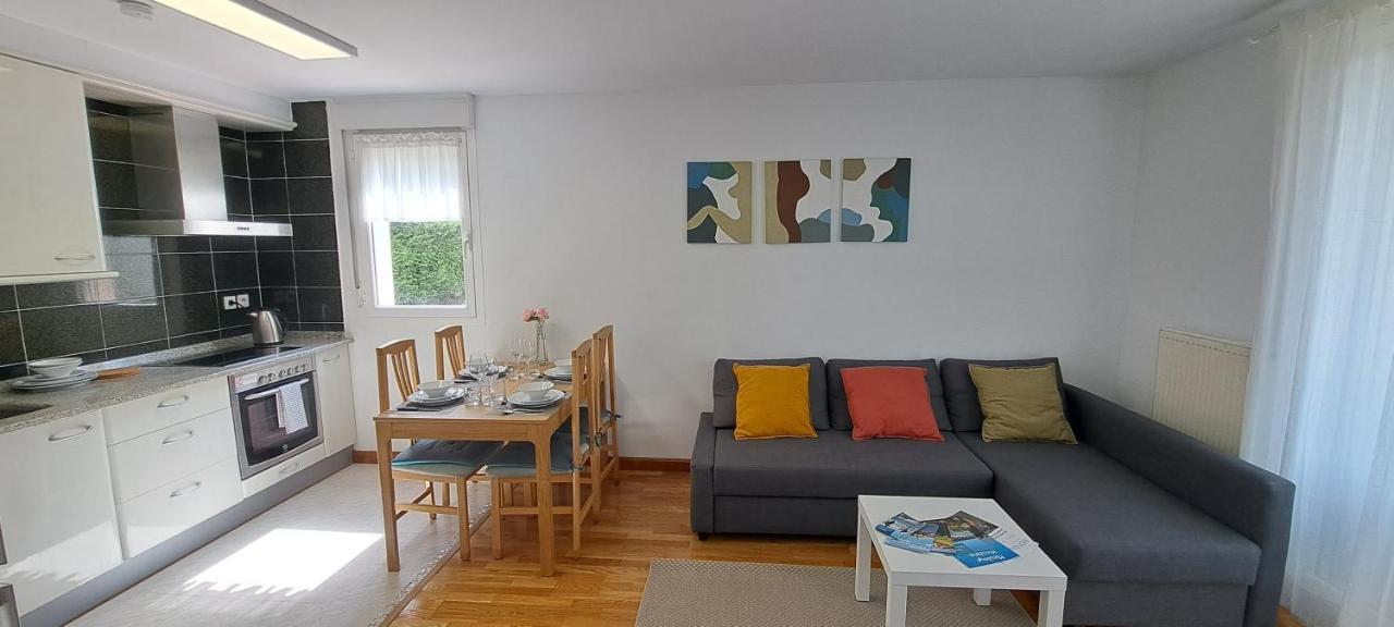 Appartement Lumineux T3 Avec Jardin Privatif A Hendaye - Parking Et Wif Gratuit エクステリア 写真