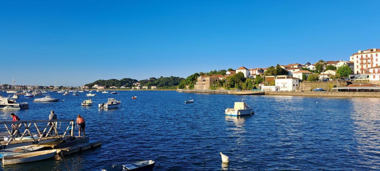Appartement Lumineux T3 Avec Jardin Privatif A Hendaye - Parking Et Wif Gratuit エクステリア 写真